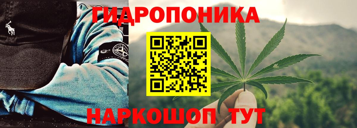 Конопля OG Kush Коломна